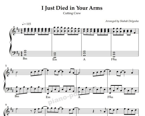 I Just Died in Your Arms piano sheet