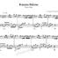 Kusura Bakma Piano Sheet