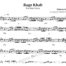Rage Khab Violin Sheet Music